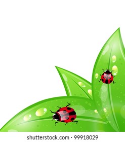 Illustration eco floral transparent background - vector