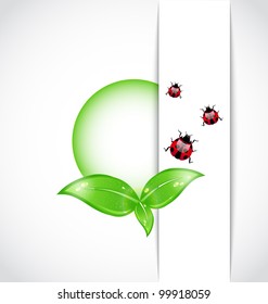 Illustration eco floral transparent background - vector