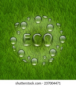 Illustration eco friendly background with water drops on fresh green grass texture - vector