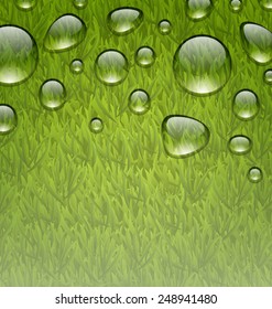 Illustration eco friendly background with water drops on fresh green grass texture - vector