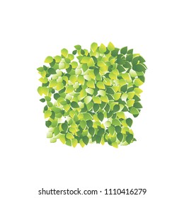 Illustration Eco Friendly Label Made in Green Leaves, Isolated on White Background - Vector