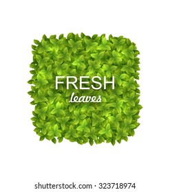 Illustration Eco Friendly Label Made in Green Leaves, Isolated on White Background - Vector