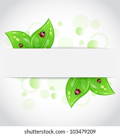 Illustration eco green leaves with ladybugs sticking out of the cut paper - vector