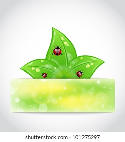 Illustration eco leaves with ladybugs sticking out of the cut paper - vector