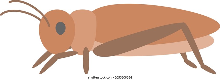 Illustration of edible crickets Flat design