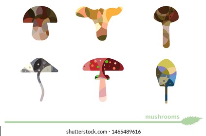 Illustration of edible and inedible mushrooms