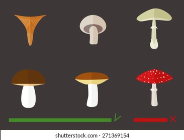 Illustration of edible and poisonous mushrooms.