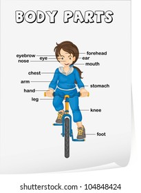 Illustration of an educational poster