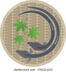 
Ilustración de anguila sobre colador de bambú