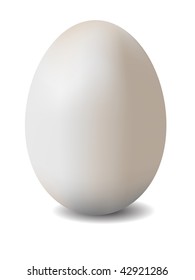 illustration of egg isolated on white