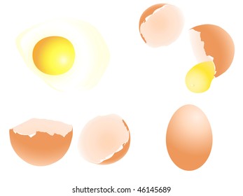 illustration of egg set against white background