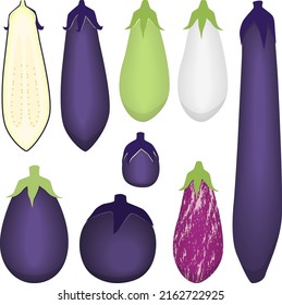 Illustration of eggplants of various shapes