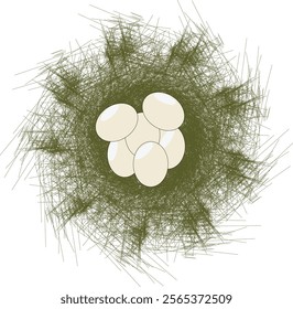 the illustration of eggs in the bird nest