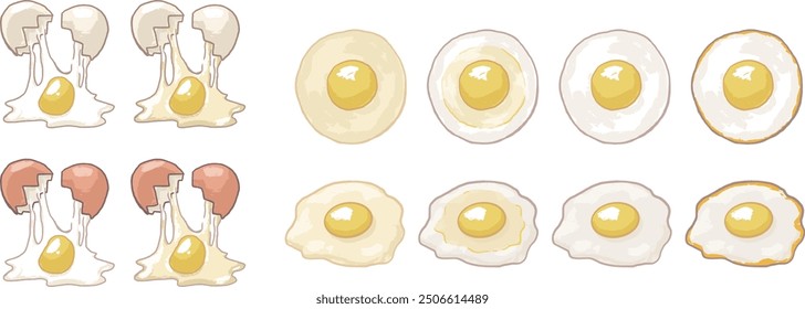 Ilustración de huevos con diferentes grados de cocción y huevos escalfados