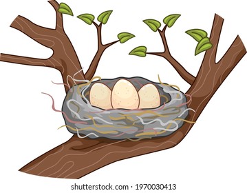 Illustration of Eggs on Hair Nest In Between Branches of a Tree