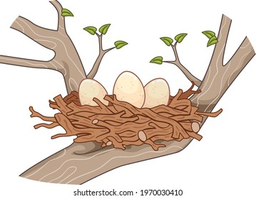 Illustration of Eggs on Nests Made of Sticks on a Tree