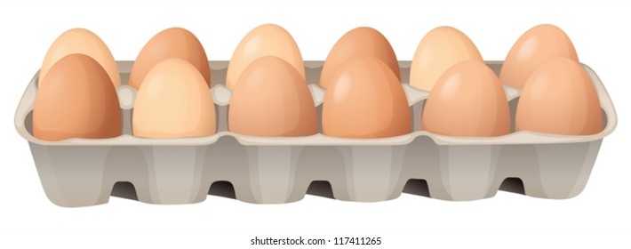 illustration of eggs on a white background