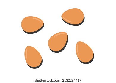 Illustration of eggs on a white background with shadows from above, commercial use, vector size