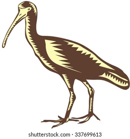 Illustration of a egret heron crane viewed from the side set on isolated background done in retro woodcut style. 