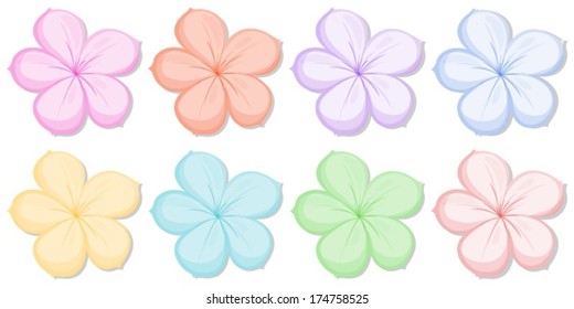 Illustration of the eight five-petal flowers in different colors on a white background