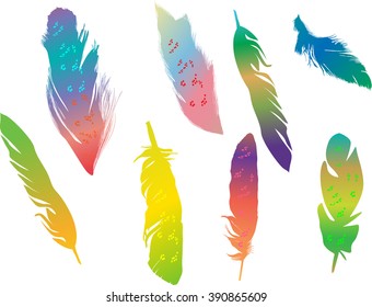 illustration with eight rainbow feathers isolated on white background