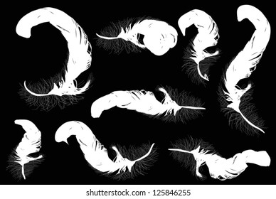 illustration with eight white feathers on black background
