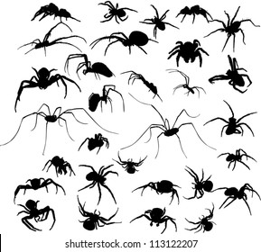 illustration with eighteen spider silhouettes isolated on white