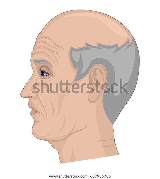Illustration Elderly Man Gray Hair Bald Stock Vector Royalty Free