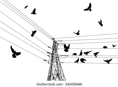 1,838 Electricity Pylon And Birds Images, Stock Photos & Vectors ...