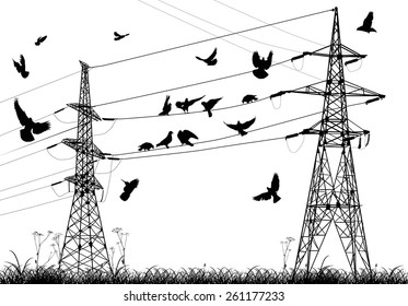 1,838 Electricity Pylon And Birds Images, Stock Photos & Vectors ...