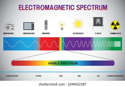 Abbildung des elektromagnetischen Spektrums in Infografik - Vektorgrafik