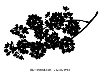 Illustration of elegant cherry blossoms silhouette