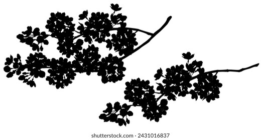 Illustration of elegant cherry blossoms silhouette