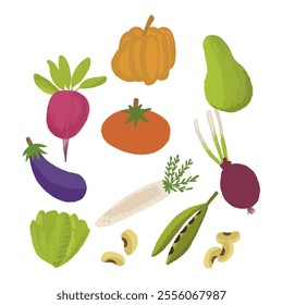 Illustration element set vegetable color collection