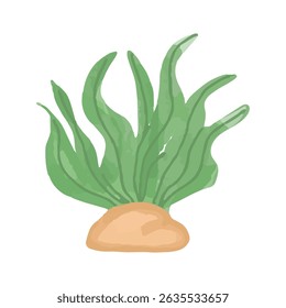 illustration element stock of coral sea design