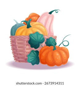 An illustration with elements of autumn, with colorful pumpkins in a wicker basket. Isolated vector illustration for seasonal design of postcards, banners, posters.
