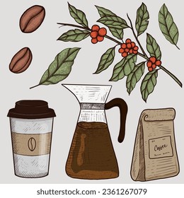 elementos ilustrativos rama de café, hojas, frijoles, taza, envase y tetera
