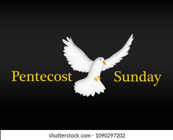 illustration of elements of Pentecost Sunday background 