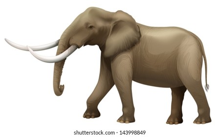 Illustration of the elephant