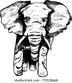 Illustration of an elephant computer hatching. Black elephant tattoos