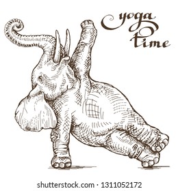 Illustration of an elephant doing an exercise yoga style engraving symbol of a healthy lifestyle vector