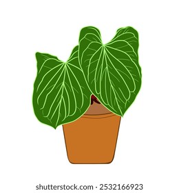 An illustration of an elephant ear plant or anthurium in a nice pot is used as a template