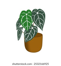 An illustration of an elephant ear plant or anthurium in a nice pot is used as a template