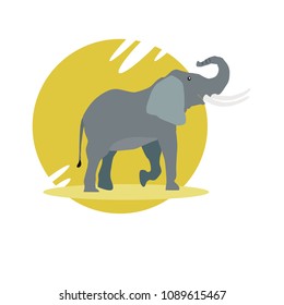 illustration elephant. flat design