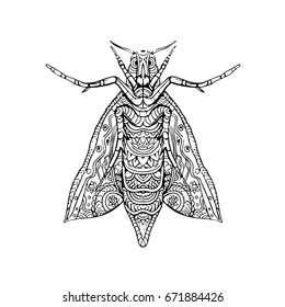 Illustration of an Elephant Hawk Moth done in hand sketch drawing Mandala style.