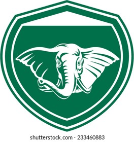 Illustration of an elephant head with tusk viewed from front set inside shield crest on isolated background done in retro style.