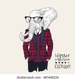 Illustration of elephant hipster dressed up in jacket, pants and sweater. Vector illustration