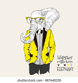 Illustration of elephant hipster dressed up in jacket, pants and sweater. Vector illustration
