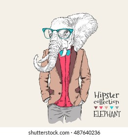 Illustration of elephant hipster dressed up in jacket, pants and sweater. Vector illustration