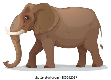 ilustración de un elefante sobre un fondo blanco